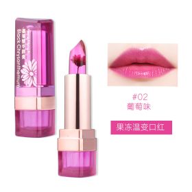 Makeup Lip Balm Jelly Color Changing Lipstick Moisturizing (Option: H9266 02-35g)