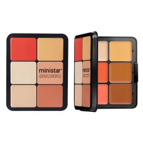 Skin Color Multicolor Rouge Compact Concealer Plate (Option: Mixed Plate 02)