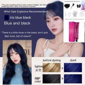 Ammonia-free Hair Color Paste Monochrome Paste Cover White Hair Multi-segment Color One-step Black Tea Gray Blue Black Hair Dye (Option: 0ro88 Blue And Black-With tools)